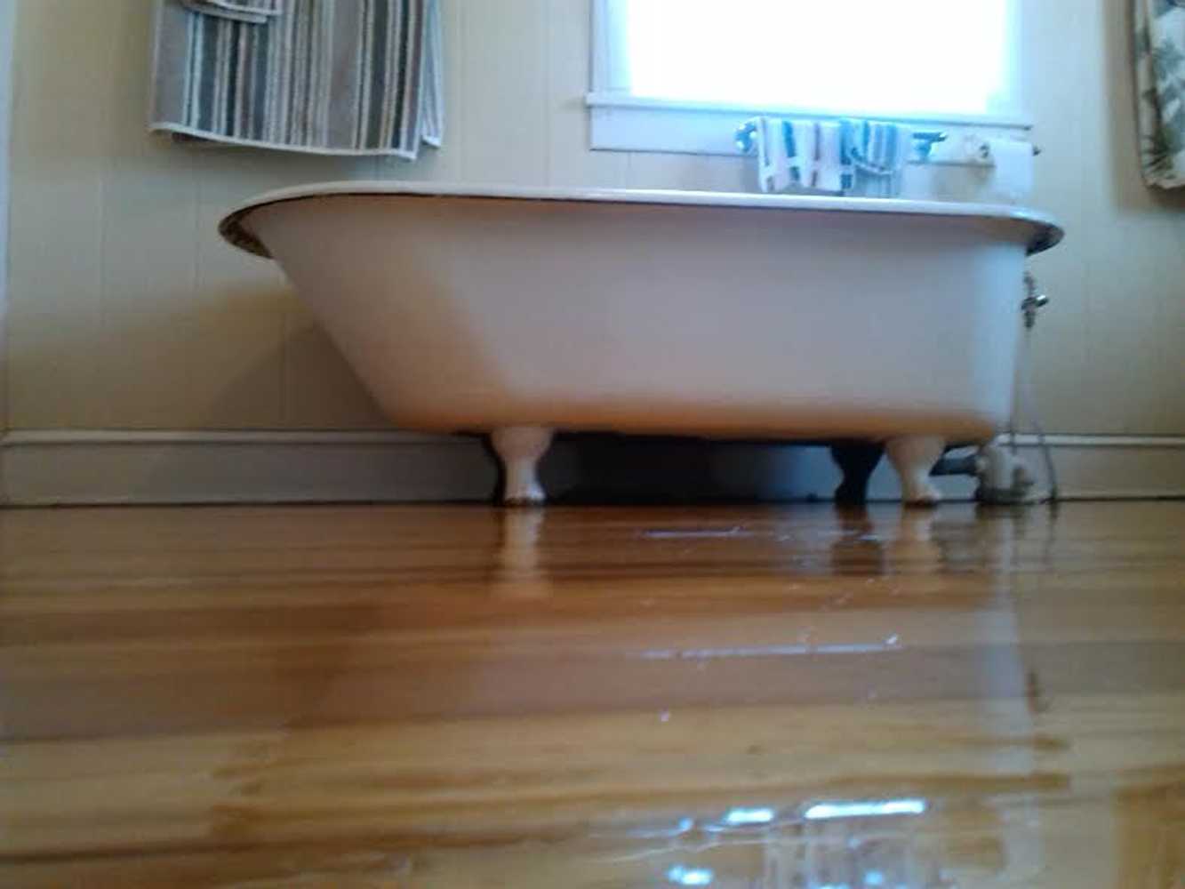 Photos from Magnolia Custom Hardwood Floors