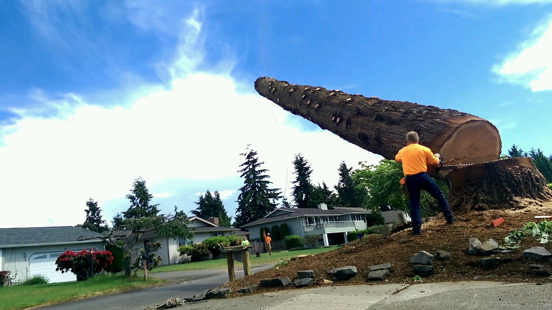 Get Er Down Tree Service