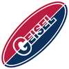 Geisel Mechanical Services