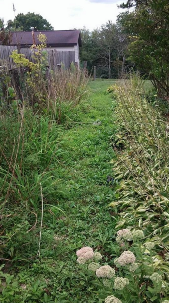 Photos from mb landscapins.com