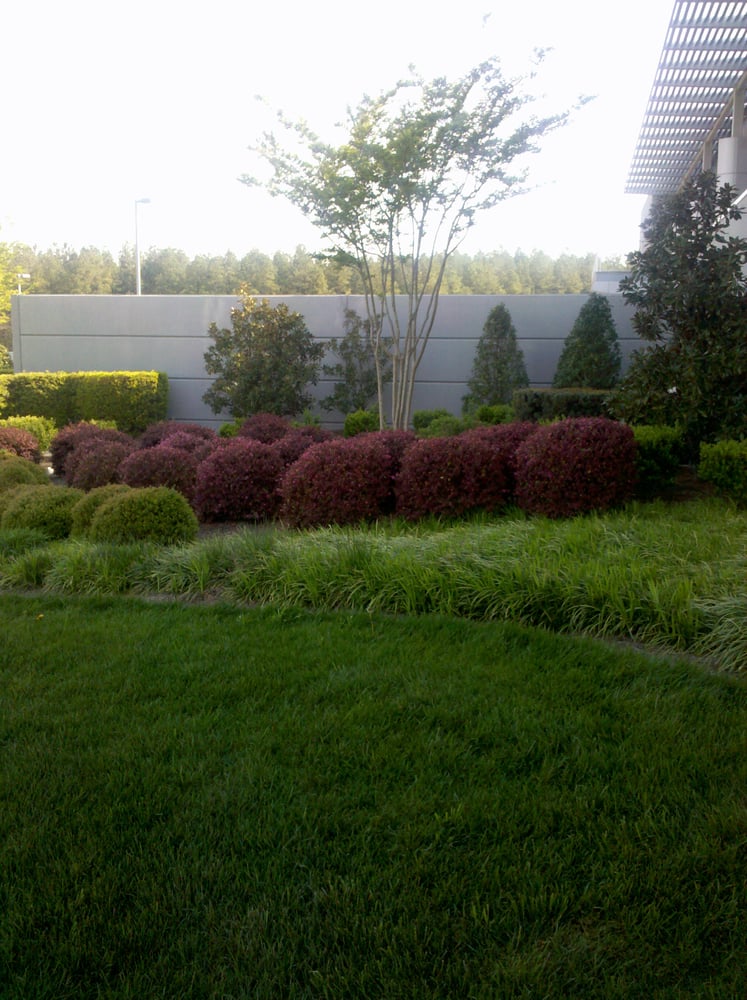 Grassy Meadows lawn care And Tick Control Corp. 