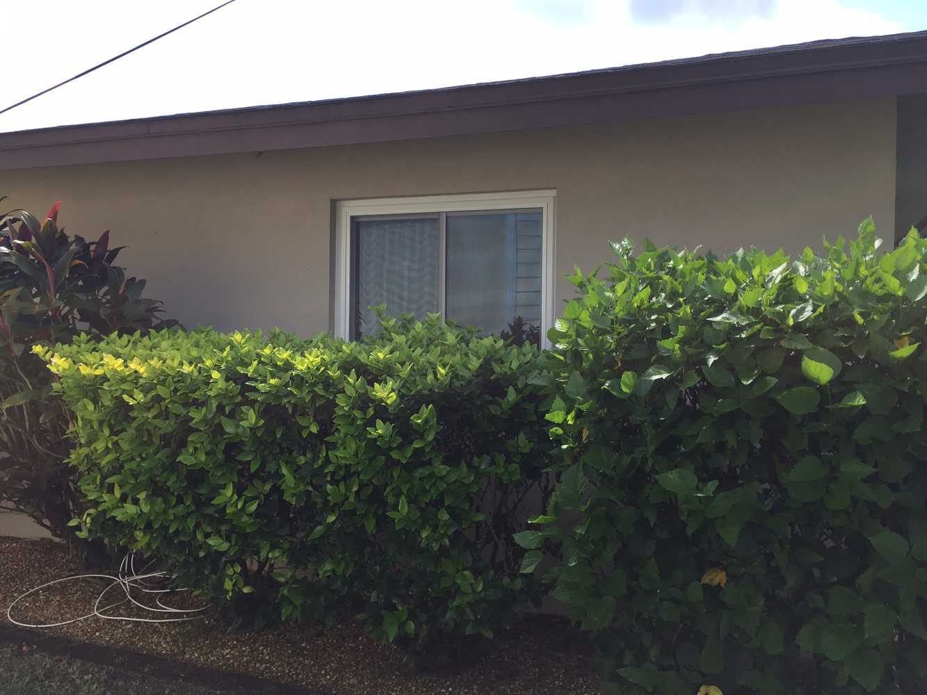 Cape Coral. FL