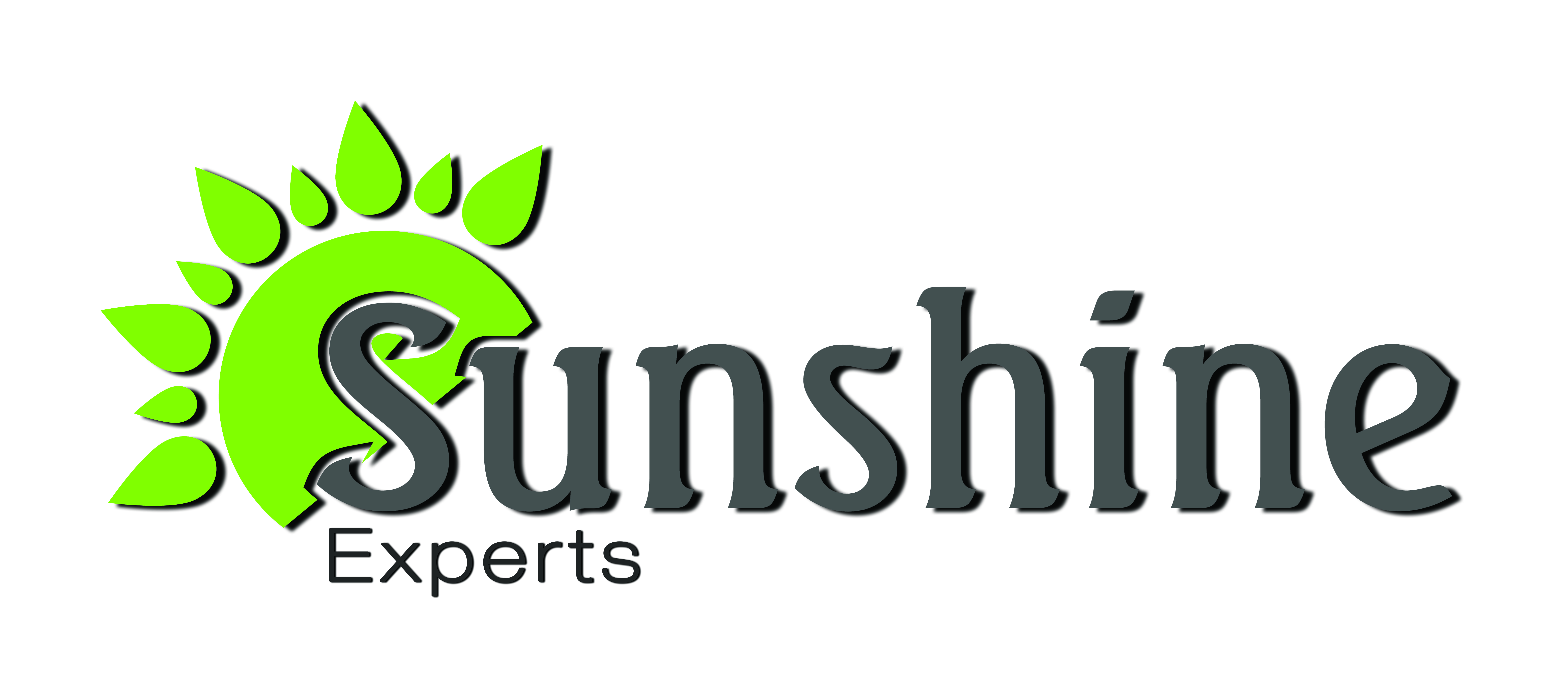 Sunshine Experts,llc