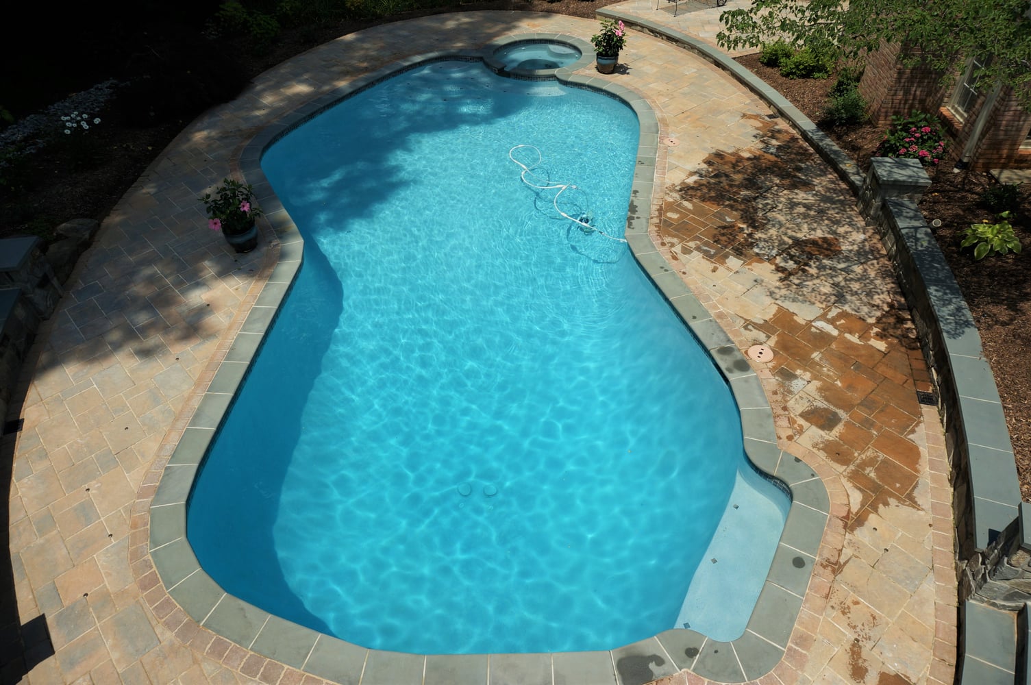 Photos from Crystal Blue Aquatics Llc