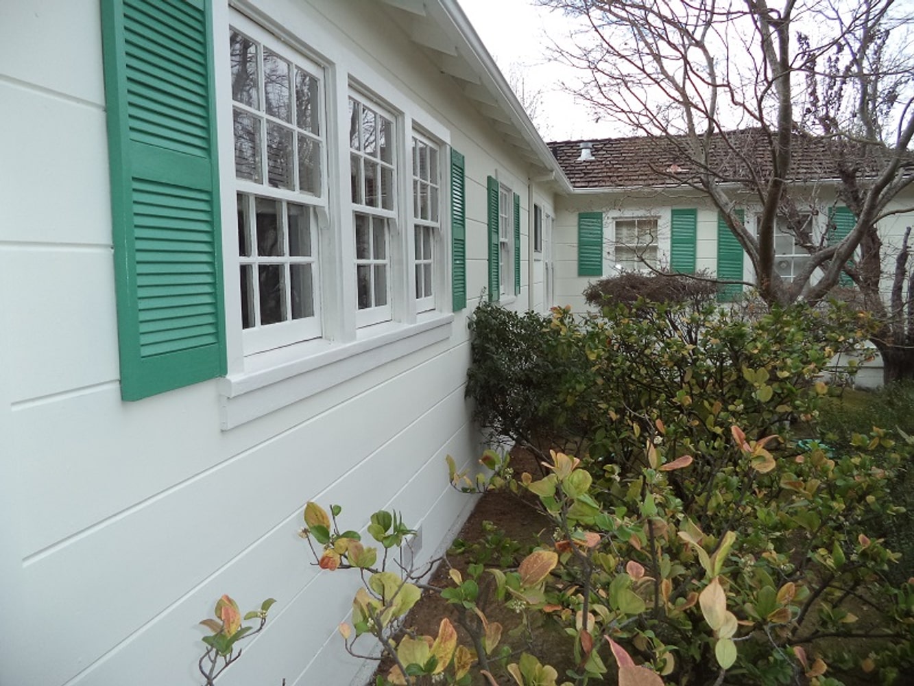 Recent Painting Projects