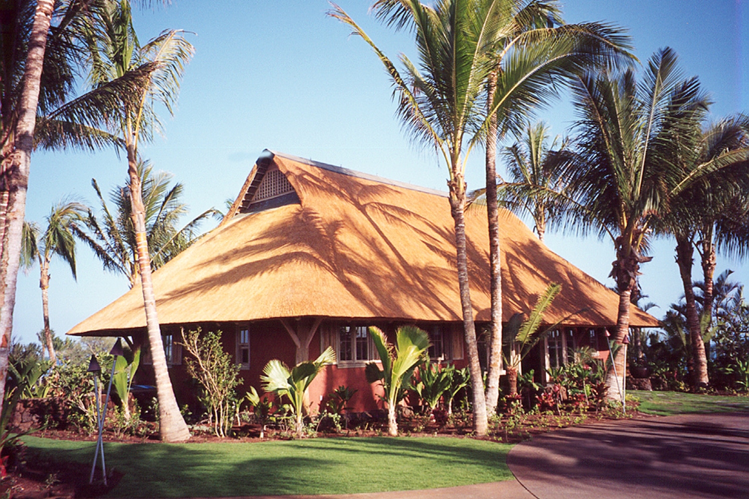 The Tiki Hut Company Portfolio