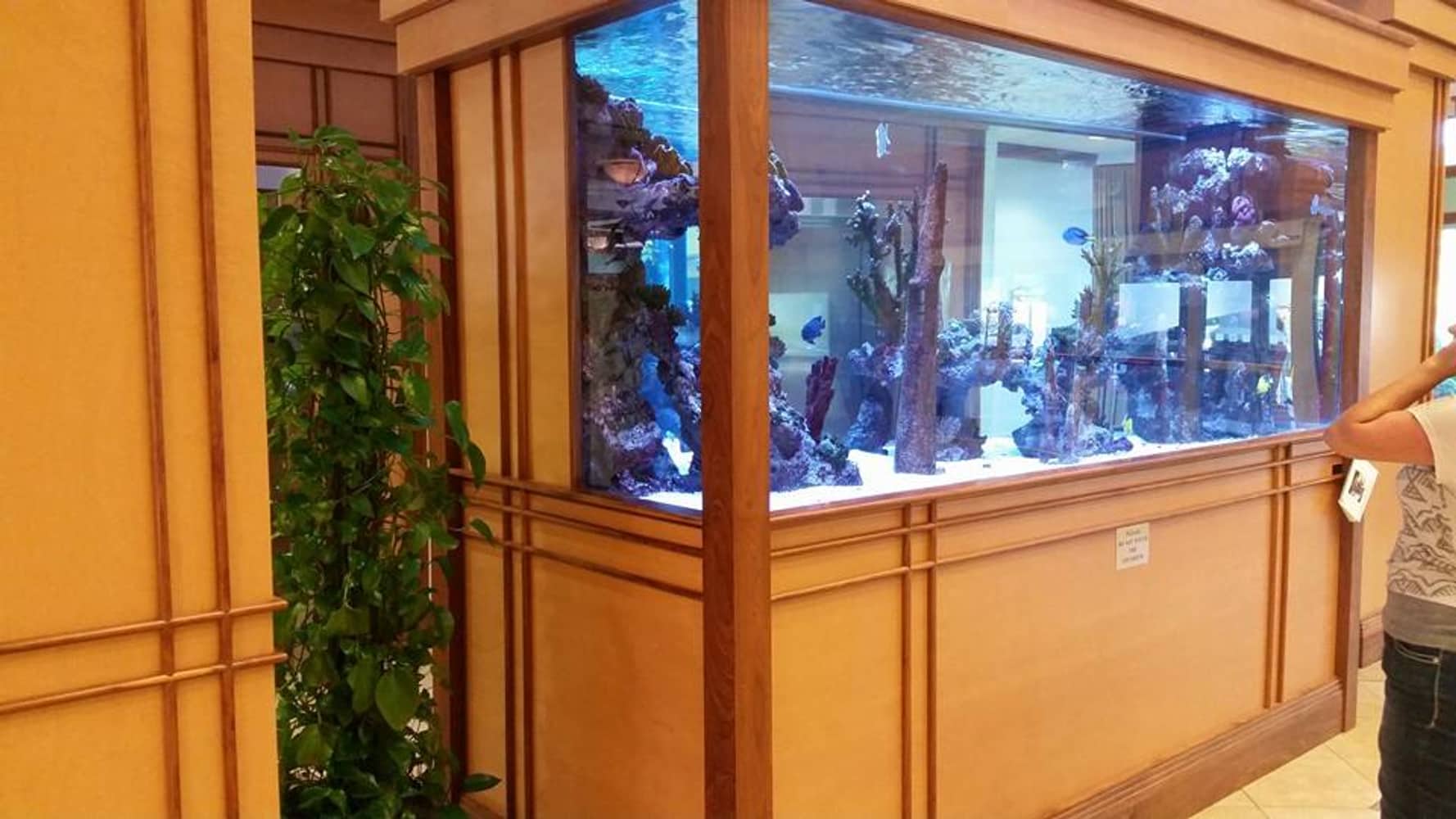 Photo(s) from Hardiman Contracting