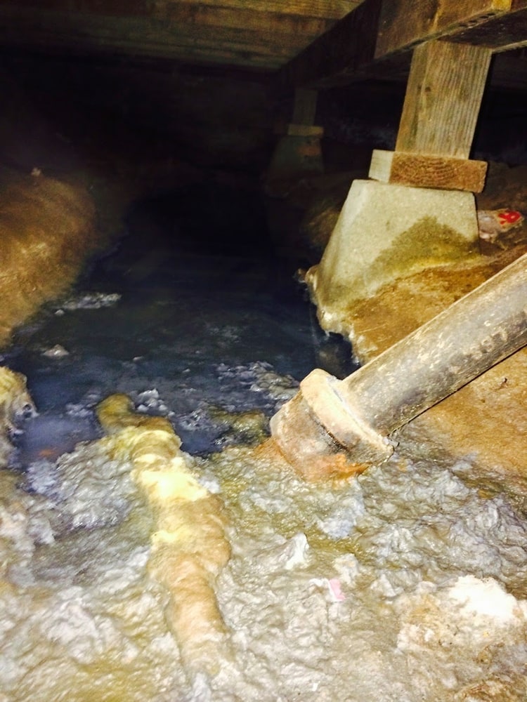 Photo(s) from Moldfixer San Diego