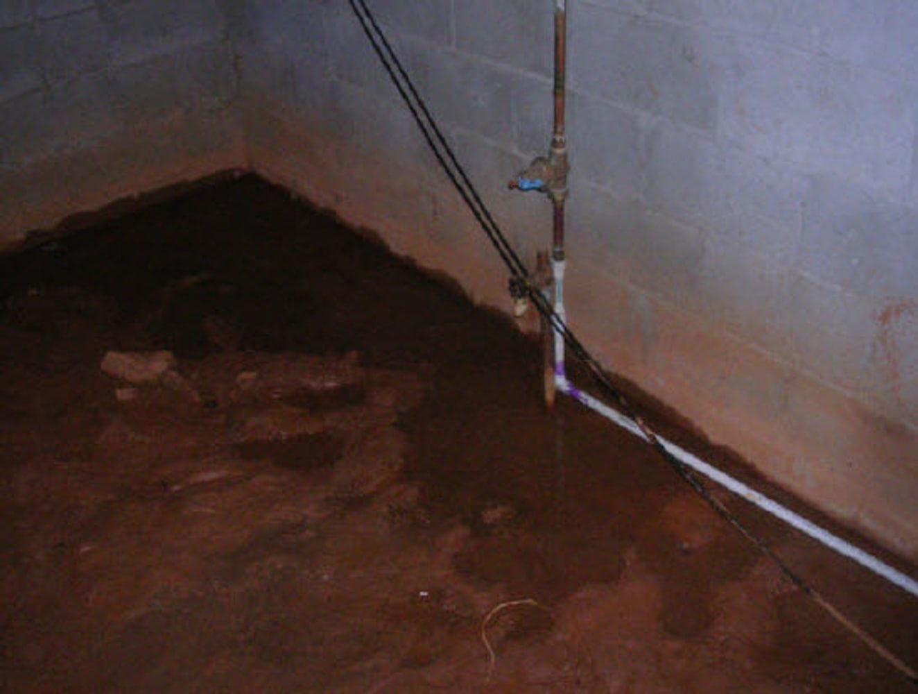 Property Condition Consulting Project