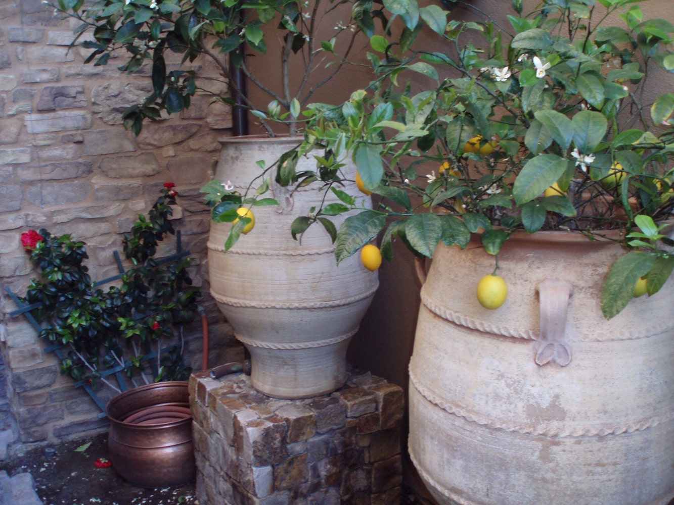 Design Build General Contractor