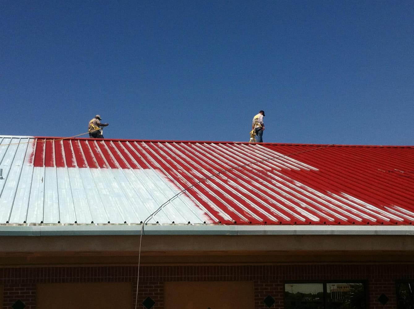 Photos from Michael Ryan