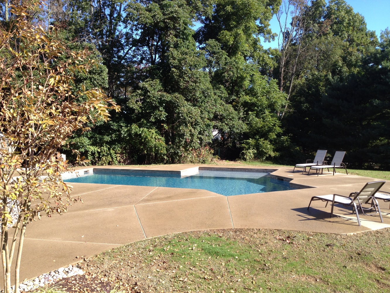 Photo(s) from Signature Quality Pools, LLC