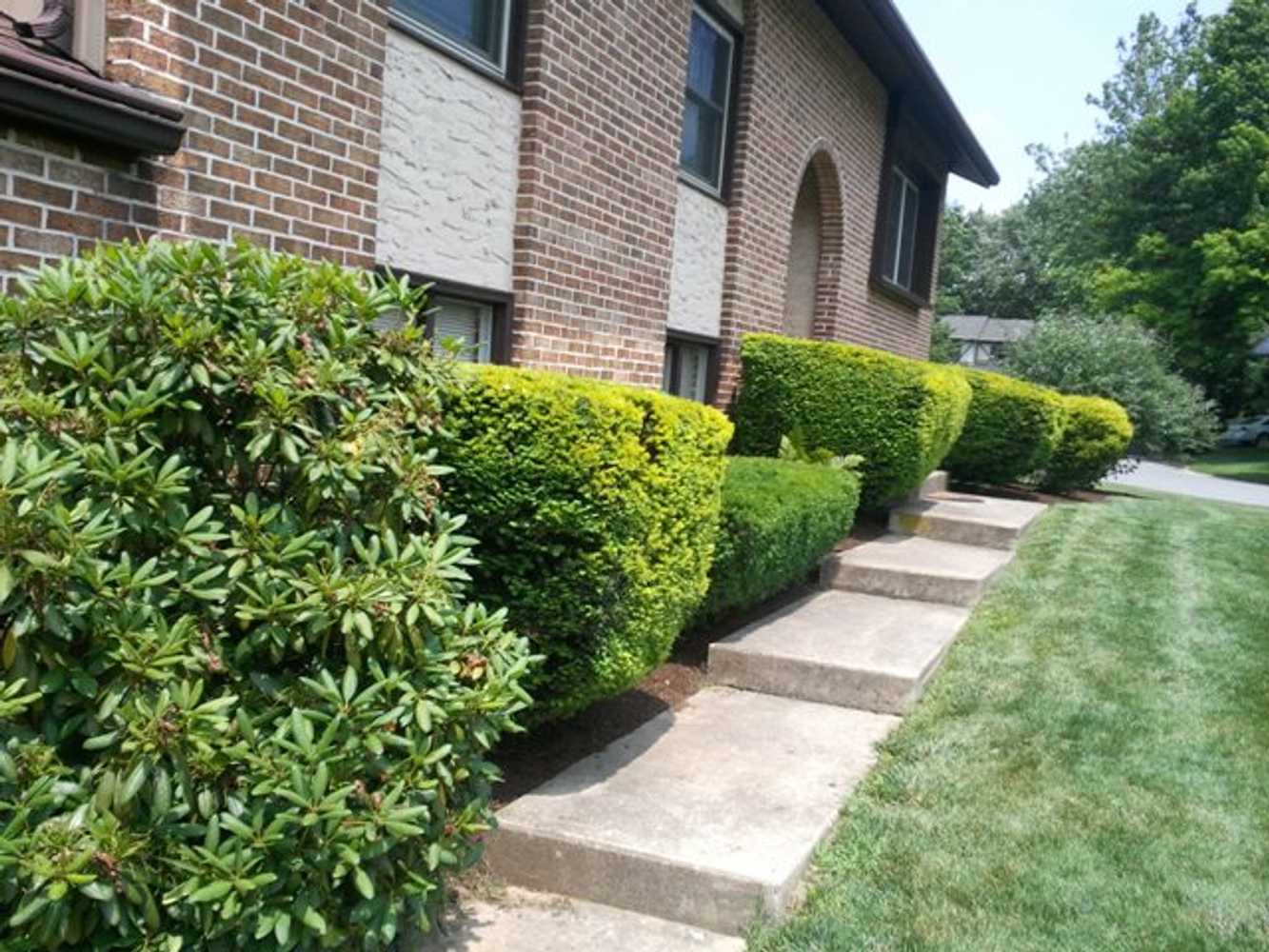 Stadel Lawn And Landscaping, Inc