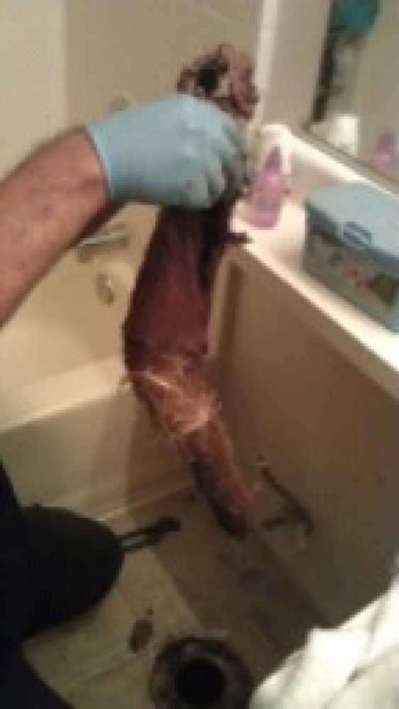 Drain Cleaning