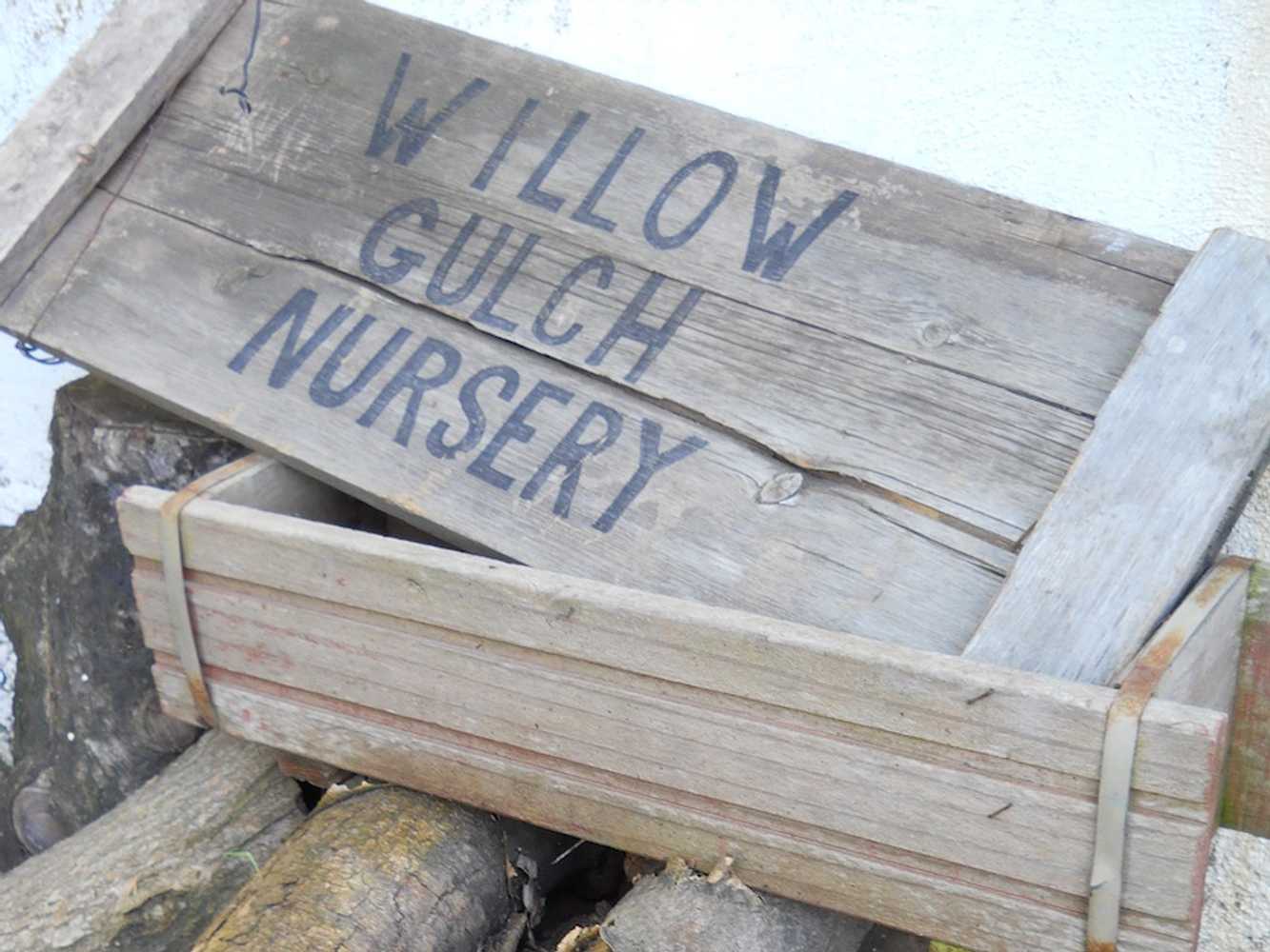 Willow Gulch Nursery Project
