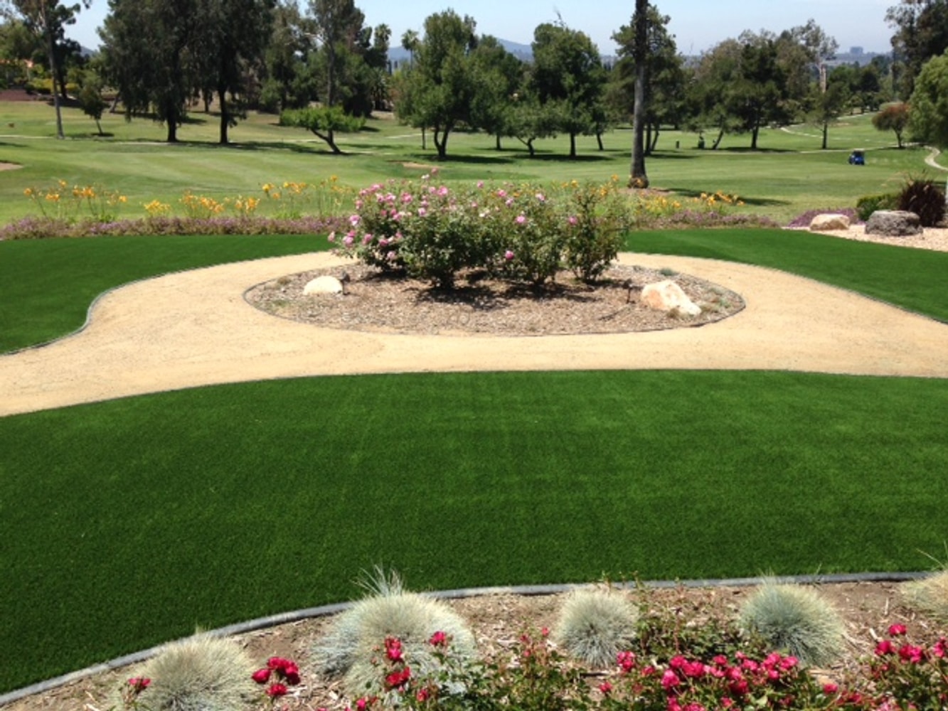 Drought Resistant Landscape Ideas