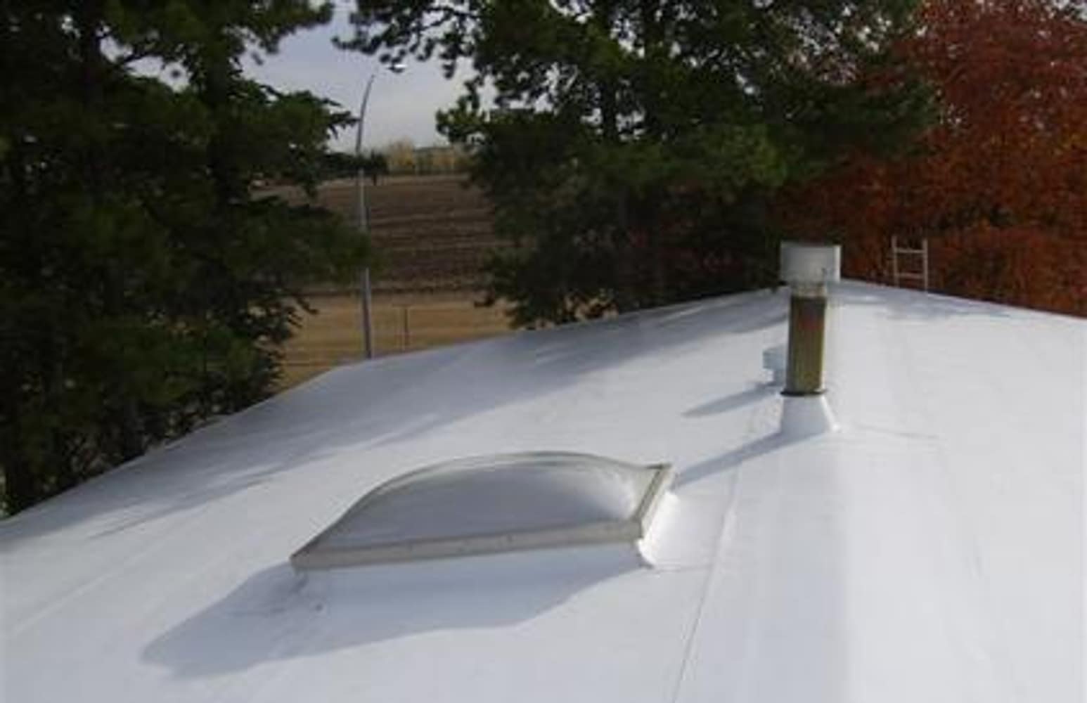 Flat Roof 