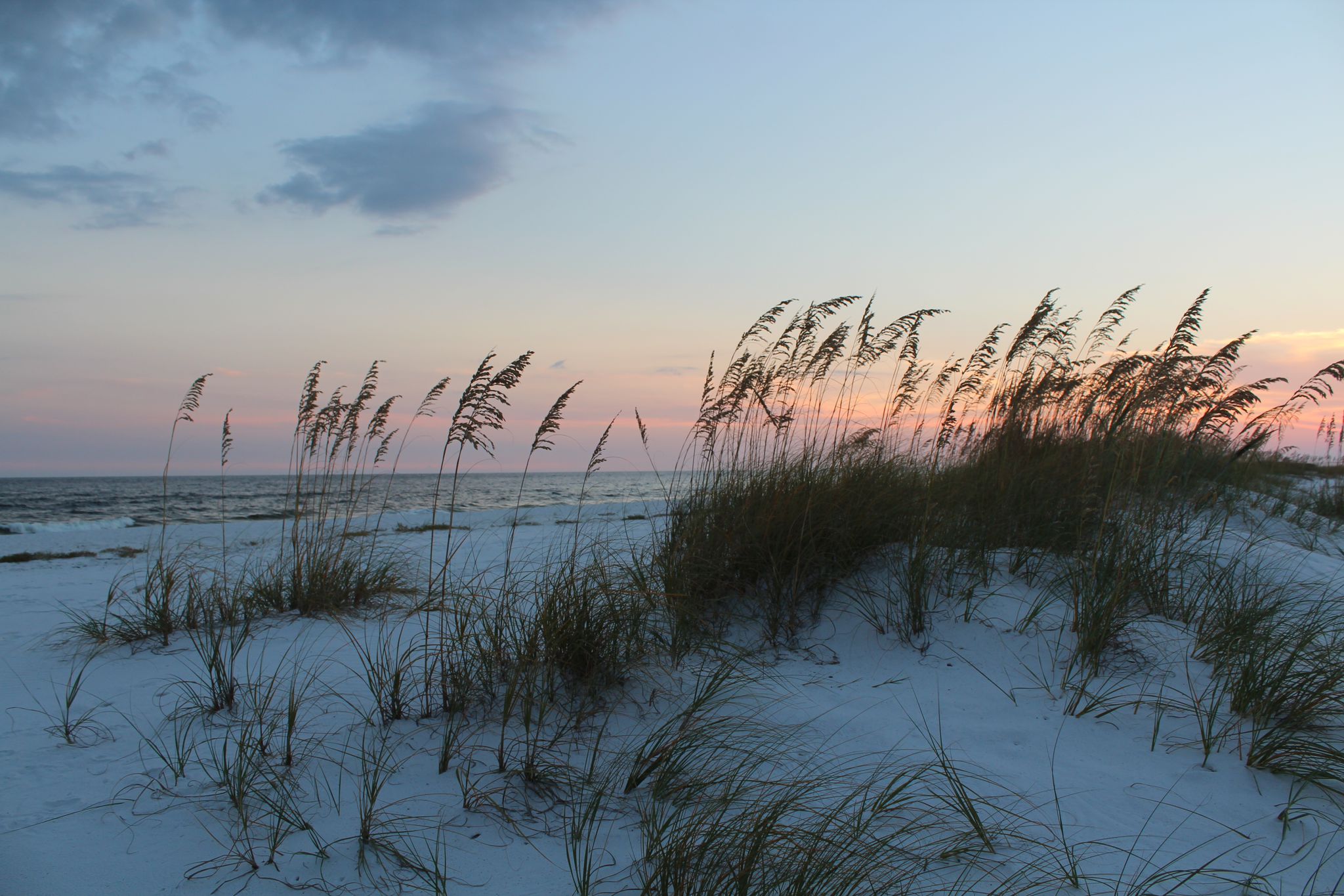 Taylor Enterprises Of The Emerald Coast Inc