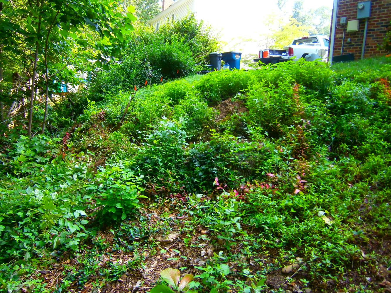 Stone Terraced Retaining Walls