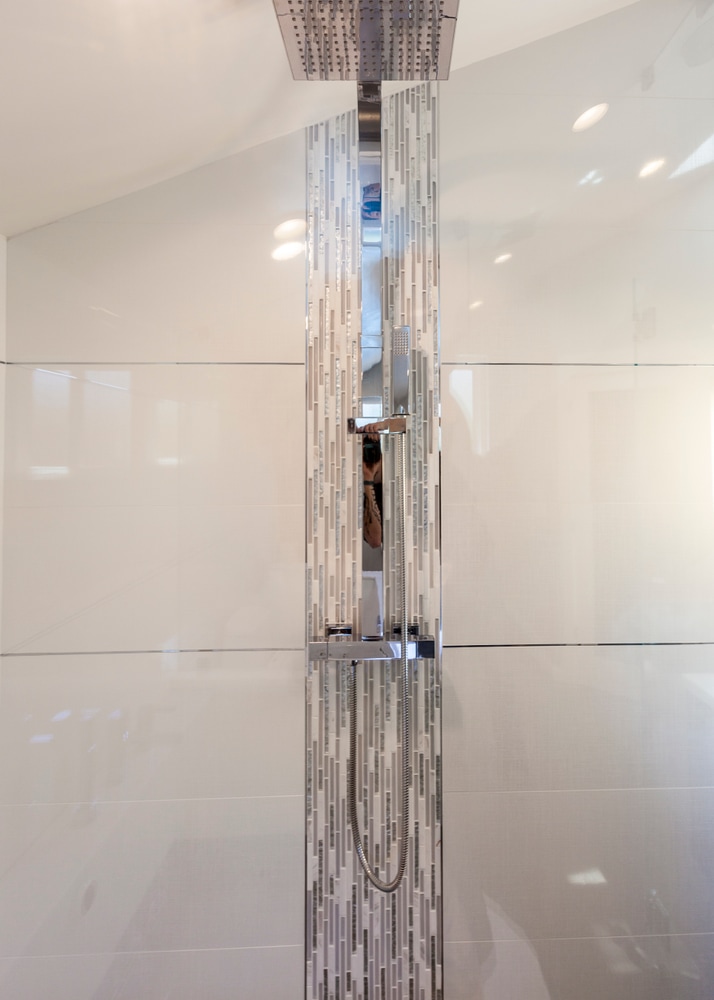 Almaden Master Bathroom