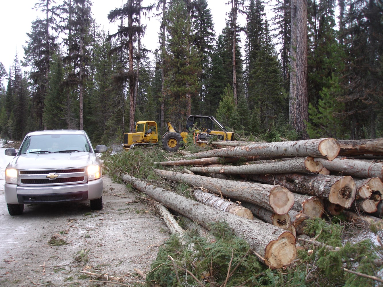 Wilderness Building Systems Project