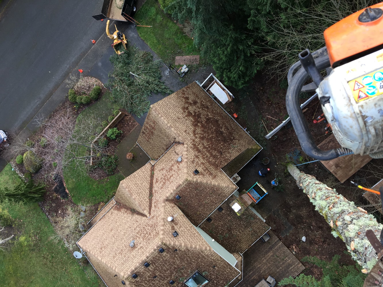 Photos from Gaea Tree Service & Roofing