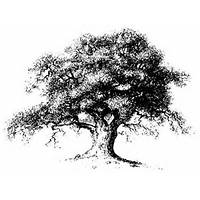 J W custom Landscaping inc.