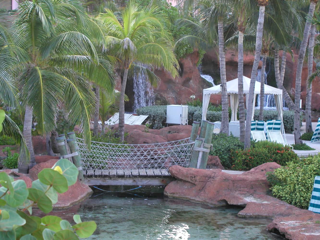 The Tiki Hut Company Portfolio