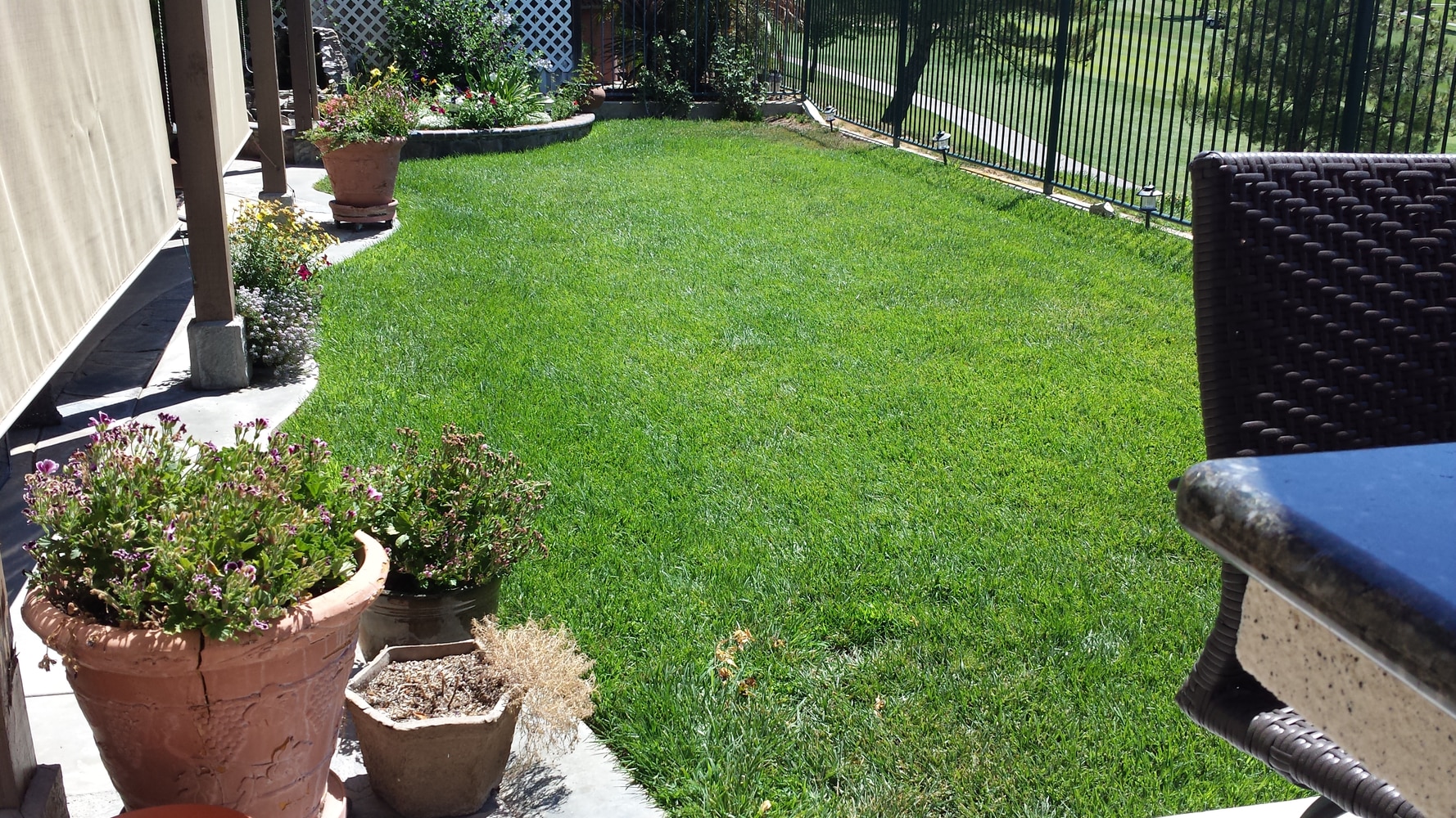 The Complete Yard Service Project