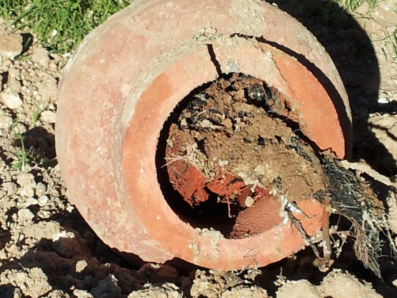 Photo(s) from Scatolini Plumbing Service