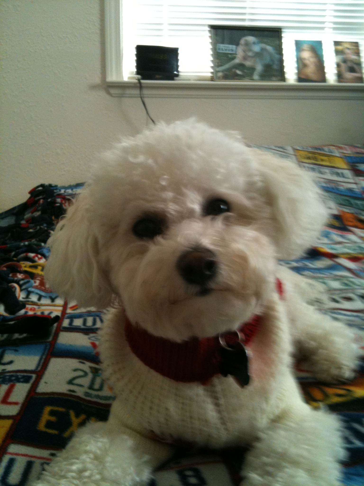 O'Brien Construction