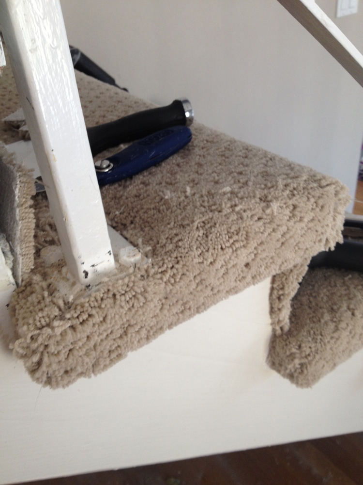 Hals Carpet & Vinyl Project