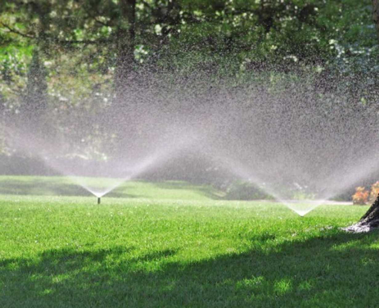 Lawn Sprinkler System