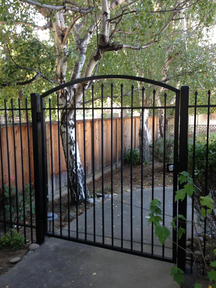 Ornamental iron fences. 