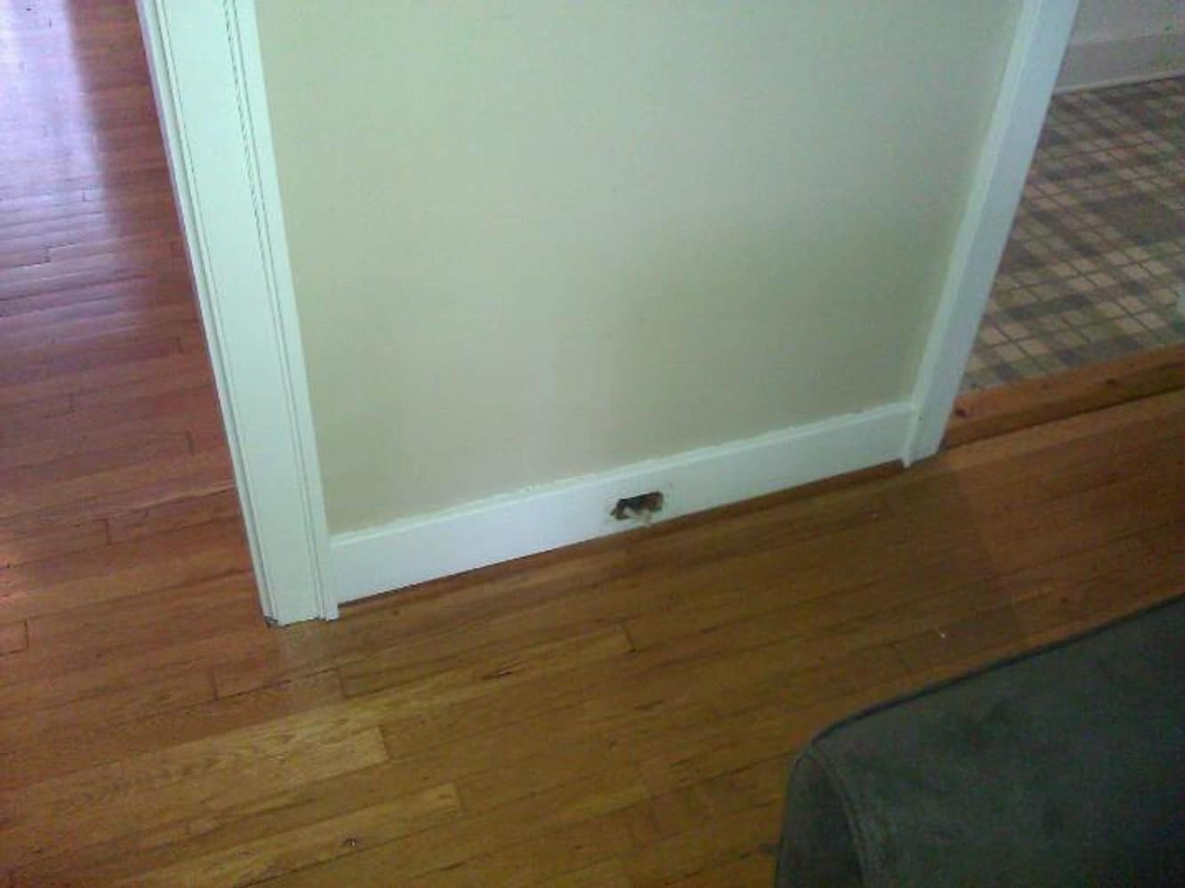 100 Amp Service Replacement and other small projects 