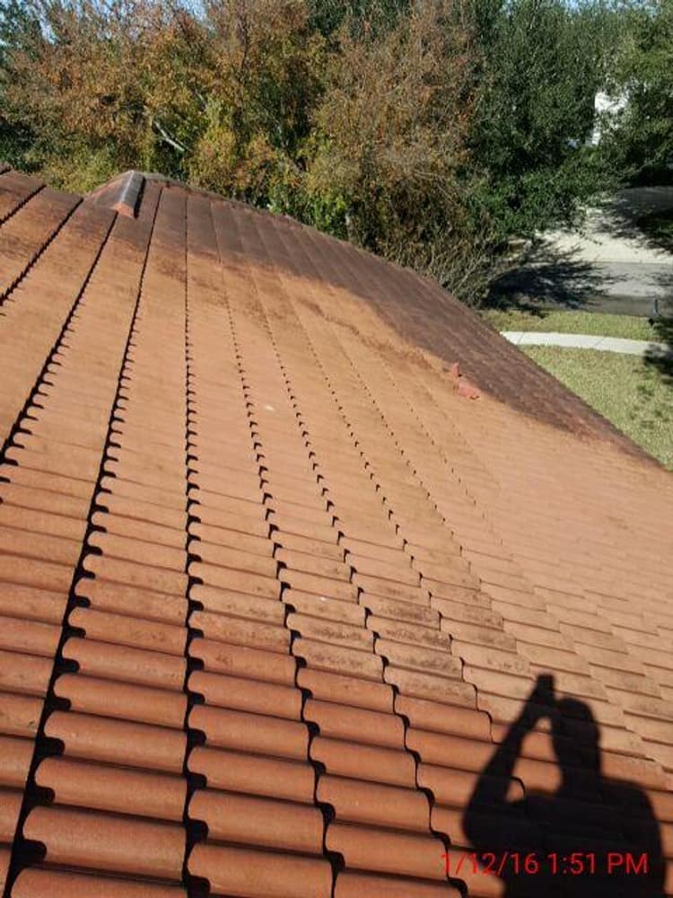 Photos from Popa Construction LLC 