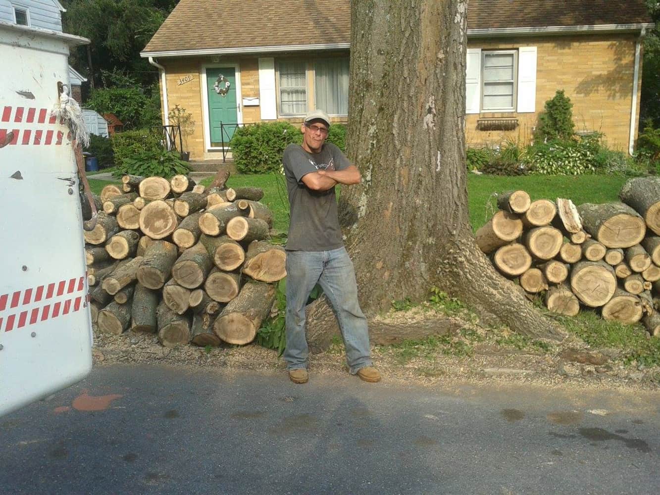 Photo(s) from Anthonys Tree Care