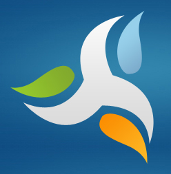 Bay Area Mold Services