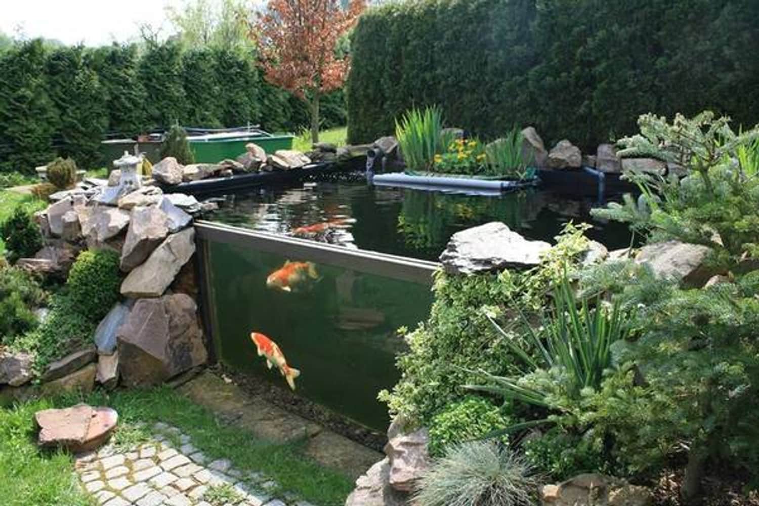 Photo(s) from Chanclerz