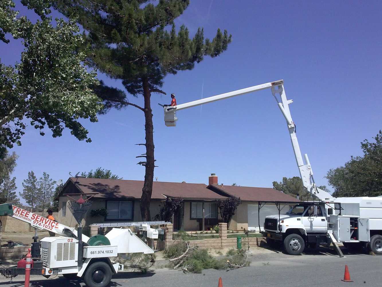 Photo(s) from Chads Chippers Tree Service