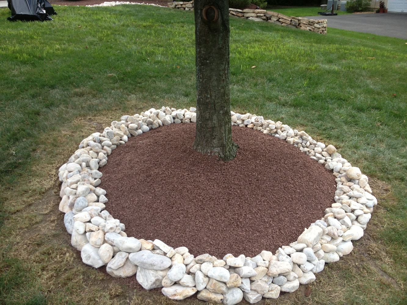 Photo(s) from Alex Salazar D/B/A Latino Landscaping & Tree Service