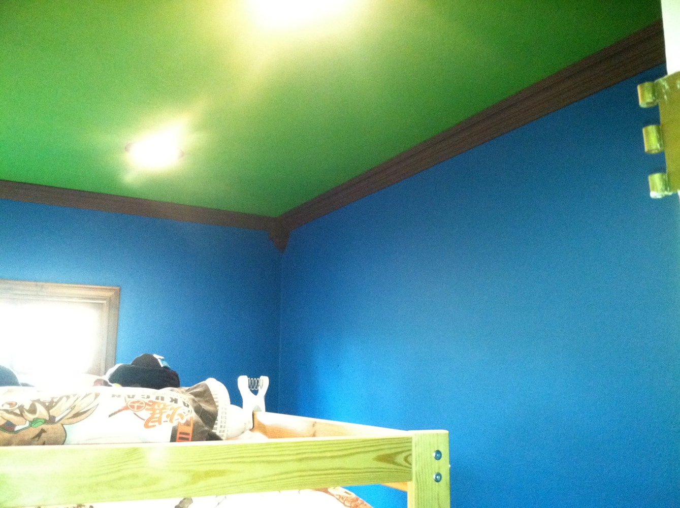 Project photos from Robertson Painting