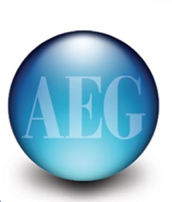 Arizona Environmental Group (a dba of C & E Services, Inc.)