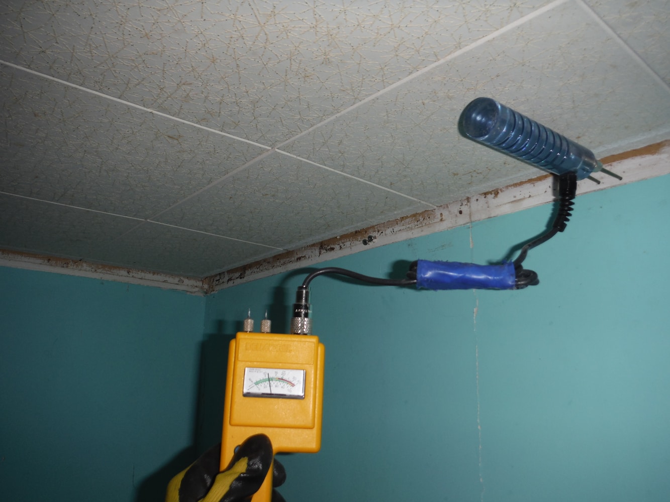 Photos from Absolutely Dry Llc