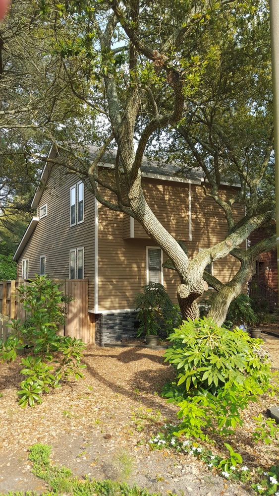 Photos from Colorscapes Custom Painting Llc