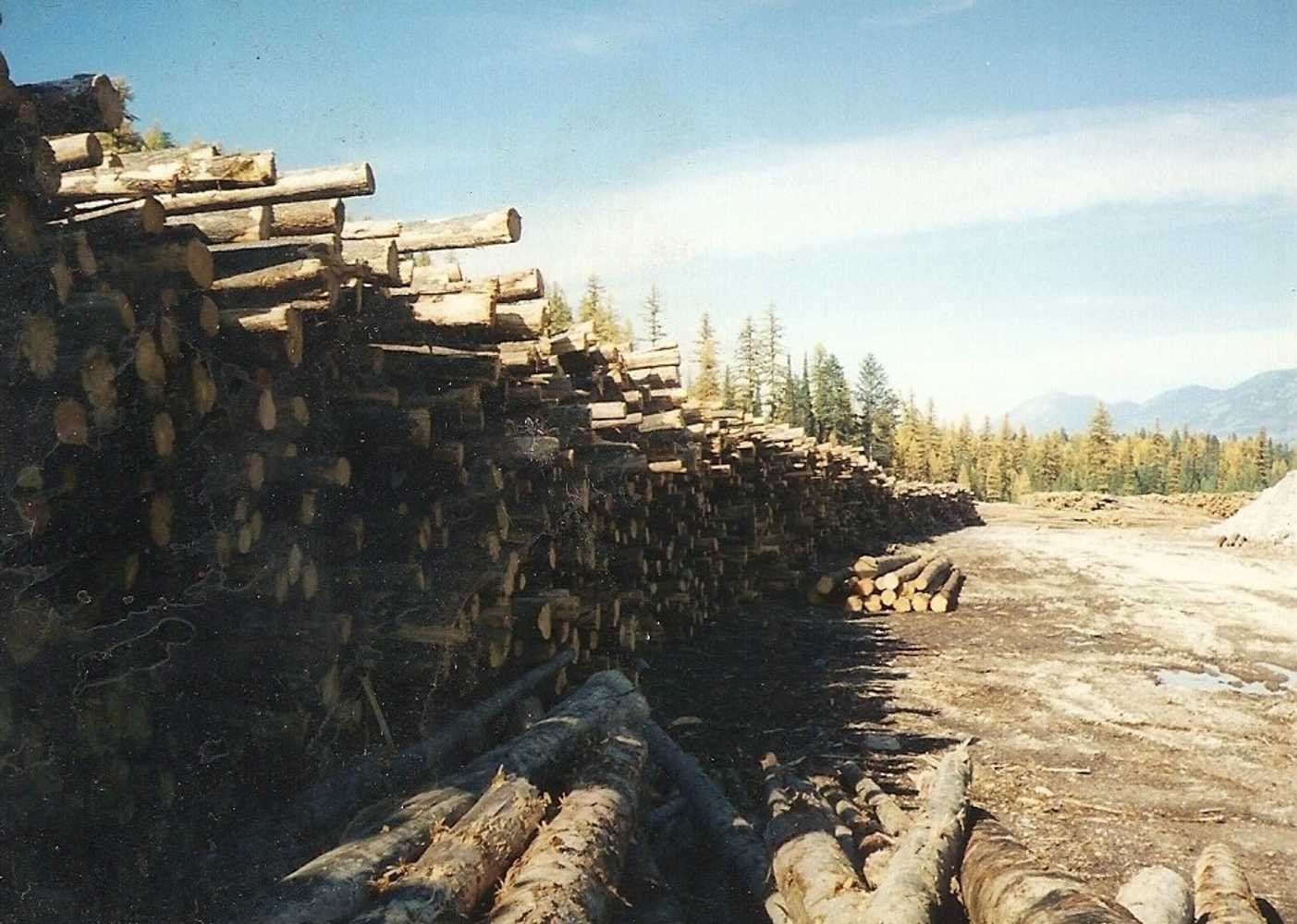 Wilderness Building Systems Project