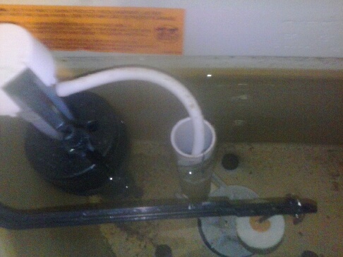 Photo(s) from Canty Plumbing Services LLC