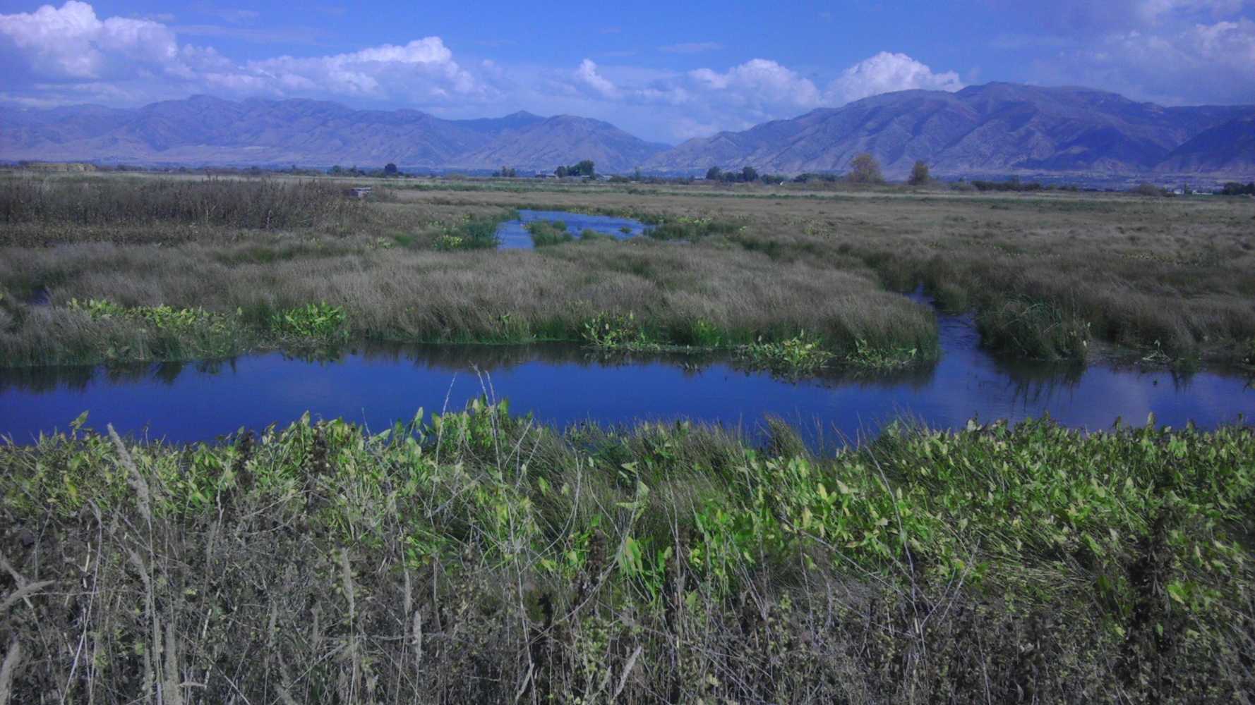 Kelson, Cardon, Ogden River Restoration & Wetland 