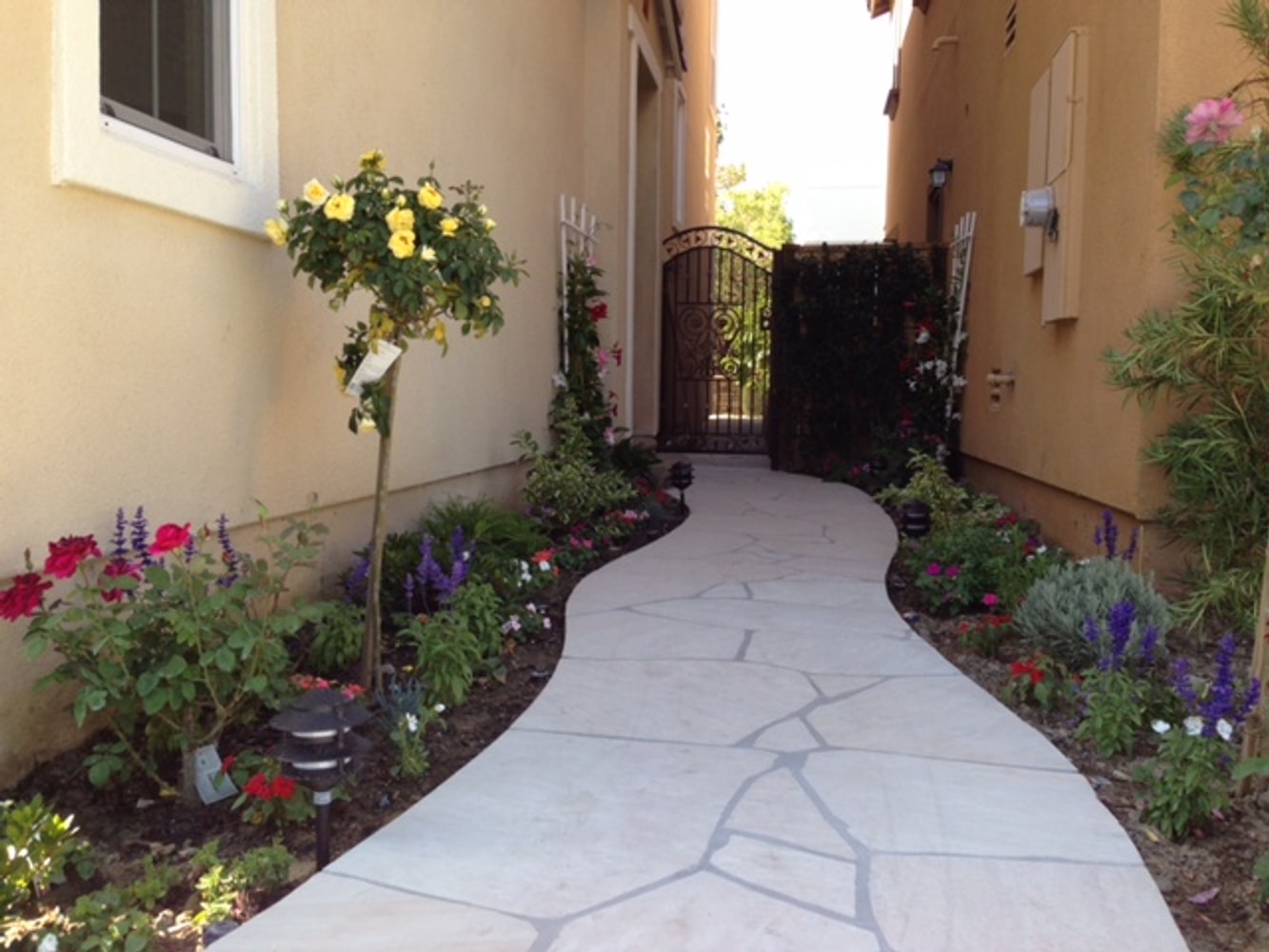 Photo(s) from Best Landscape