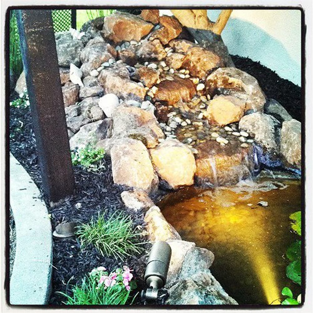 Hoopster Haven in Novato, Ca.